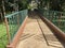 Paved Footbridge in a national park