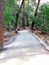 Paved forest trail in Yosemite National Park, Sierra Nevada in Northern California