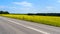 A paved highway, a field with a blooming yellow surepka, a green forest, a tractor and a blue sky with white clouds.