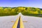 Paved highway going through mountains covered in wildflowers, Carrizo Plain National Monument area, Central California