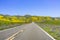 Paved highway going through mountains covered in wildflowers, Carrizo Plain National Monument area, Central California