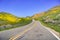 Paved highway going through mountains covered in wildflowers, Carrizo Plain National Monument area, Central California