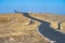 Paved hiking trail to the Forest Canyon Overlook in Rocky Mountain National Park Colorado. Tundra near the trail