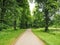 Paved lane through trees in an English country park in summer