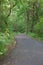 Paved nature trail going through woods.