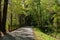 Paved path through a heavily wooded greenway, fencing and drainage ditch flanking the path, North Augusta South Carolina