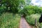 Paved path trail through the Greenford Park along the Grand Union Canal