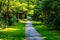 Paved path through a wooded section of the park