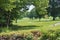 Paved Paths Passing Through a Green Field with Multiple Tall Trees