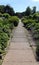 Paved pathway through a garden