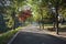 Paved pedestrian way or walk way with trees on sides for public walk