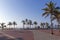 Paved Promenade Palm Trees Pier and Ocean