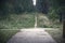 Paved road crossroads in forest leading on walking path surrounded by trees and green and dry grass