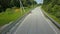 Paved road running through the forest