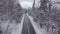 Paved road among snowy trees