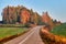 Paved road surrounded by trees during peak colors of Autumn