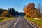 Paved road surrounded by trees during peak colors of Autumn