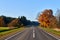 Paved road surrounded by trees during peak colors of Autumn