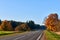 Paved road surrounded by trees during peak colors of Autumn