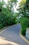 A paved road among the trees in a bright sunny summer park. Cobbled road, paving slabs among the fairy green forest