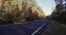 paved road with trees in the forest in autumn