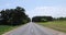 paved road with trees in the forest in sunny weather