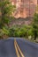 Paved road, Zion National Park