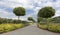 A paved stepped path framed with clipped bushes and trees in a beautiful park