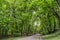 Paved stone walkway through the park