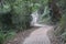 Paved Track at the Base of Tomaree Mountain