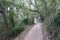 Paved Track at the Base of Tomaree Mountain