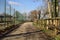 Paved trail bordered by bare trees next to a stream of water and a group of houses on a sunny day in the italian countryside