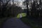 Paved trail next to a field framed by trees and a path in a shady grove in the italian countryside