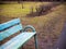 Paved walkway in the littered park