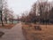 Paved walkway in the littered park