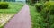 Paved walkway in a park