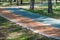 Pavement in the birch forest