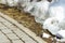 Pavement edge with a curb stone and a lawn covered with melting snow in spring, selective focus