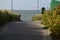 Pavement leading to a beach surrounded by greenery