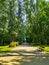 Pavement next to street with green trees above at summer sunny day and bench on side