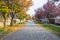 Pavement road in a small cozy town in autumn in sunny day. Yellow leaves and trees in autumn. Picturesque European street in a