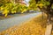 Pavement road in a small cozy town in autumn in sunny day. Yellow leaves and trees in autumn. Picturesque European street in a