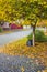 Pavement road in a small cozy town in autumn in sunny day. Yellow leaves and trees in autumn. Picturesque European street in a