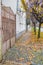 Pavement road in a small town in autumn in cloudy day. Yellow leaves and trees in autumn. Picturesque European street in a small