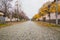 Pavement road in a small town in autumn in cloudy day. Yellow leaves and trees in autumn. Picturesque European street in a small