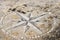 Pavement Stone with Compass Rose