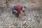 Pavement or terrace making, worker placing piece of tile