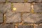 Pavement tile with grass overgrown between the plates.