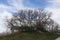 A pavilion behind leafless trees at a park near Salt Lake City Utah