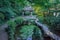 Pavilion and bridge over pond in Zhongshan Park on Gu Hill, near West Lake of Hangzhou, China